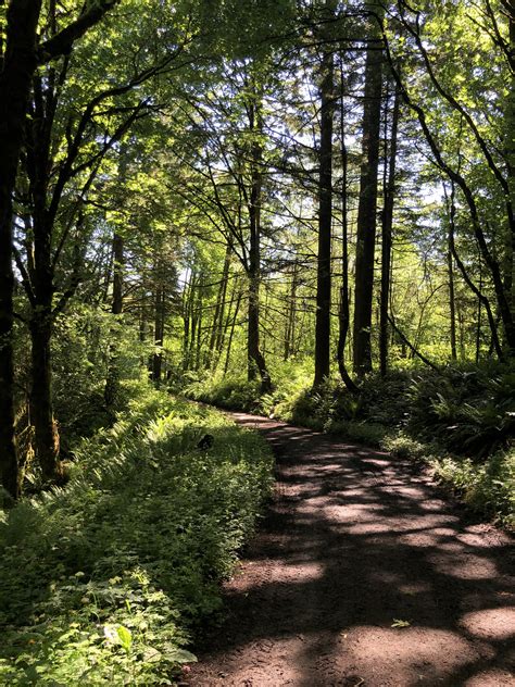 Took a lovely hike in Forest Park this morning! Easy to stay apart from ...