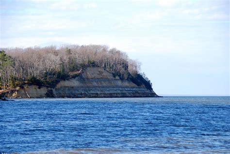 https://flic.kr/p/cnCfg9 | Calvert Cliffs | Calvert Cliffs State Park ...