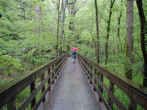 JessStryker.com: Mammoth Cave National Park 2, Kentucky