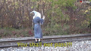 Gandalf You Shall Not Pass Gif