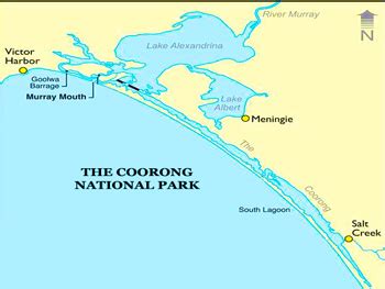 Coorong Tours | Guided Coorong Tours | Coorong Cruise | Coorong Nature