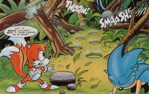 Tropical Jungle Zone - Sonic News Network, the Sonic Wiki