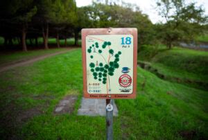 11 Basic Disc Golf Rules For Beginners - Simply Disc Golf