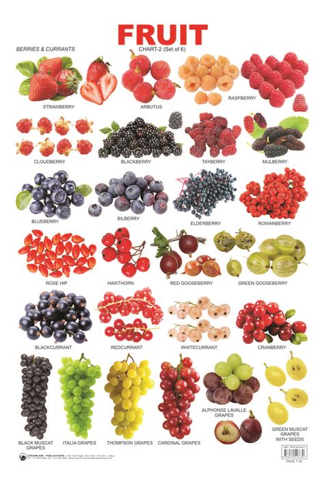 Fruit Chart - 2 catches the attention of tiny tots and makes them aware ...