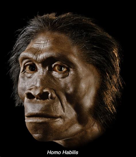 LivinMicro - Blog: If Africans have 0% neanderthal DNA, does that mean ...