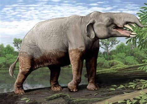 Prehistoric World, Prehistoric Creatures, Megafauna, Paleo Art, Extinct ...