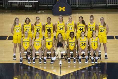 Kleid Flut Suche michigan womens basketball Eintauchen Umsatzmenge ...