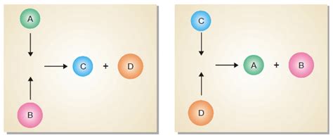 Characteristics of Chemical Equilibrium | Read Chemistry