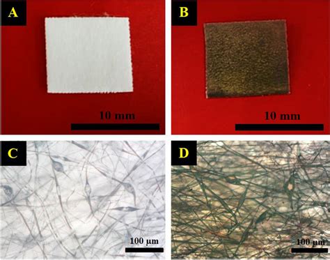 Appearance of PVDF membranes: a uncoated PVDF membrane; b Au-coated ...