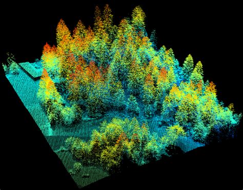 How we can better understand our forest ecosystems with laser scanning - Resilience Blog