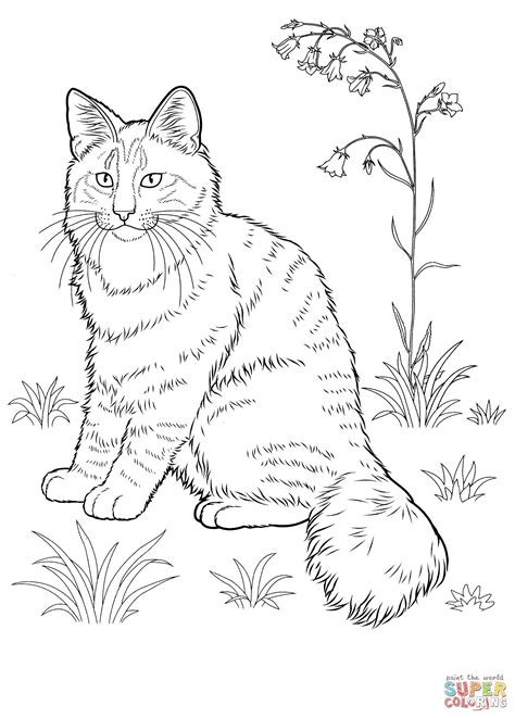 Realistic Cat Coloring Pages | BubaKids.com