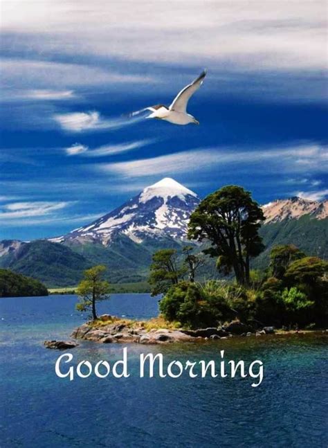 a bird flying over a body of water with a mountain in the background that says good morning