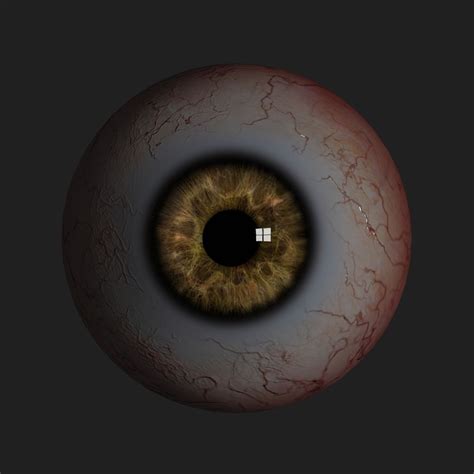 Realistic human eye 3D Model Game ready .obj .fbx .blend .mtl - CGTrader.com