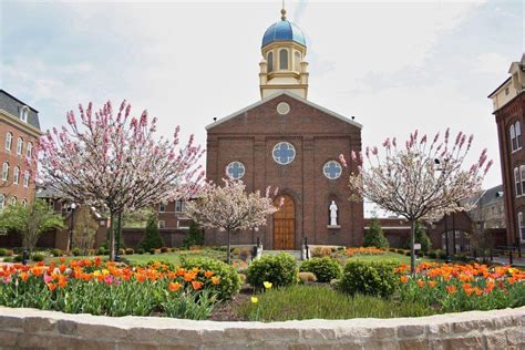 University of Dayton: Ranking, Courses, Fees, Admission 2024