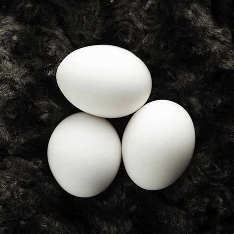 Aseel Chicken White Eggs, Packaging Type: Loose at Rs 5/piece in New Delhi