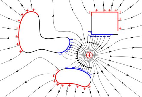 File:Electrostatic induction.svg - Wikipedia