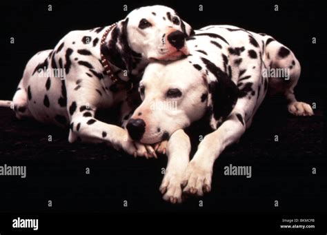 101 Dalmatians 1996