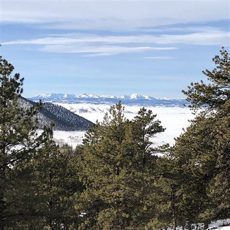 Hiking Trails in Colorado | Badger Mountain Trail