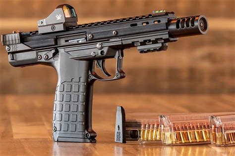 KelTec CP33 Accessories Your Gun Needs - Firearms News