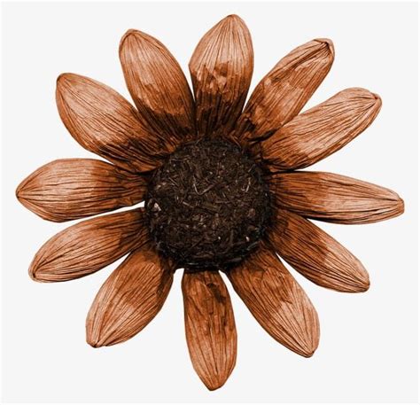 Dried Flowers Png