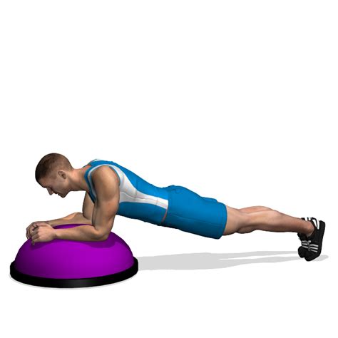 PLANK ON BOSU INVOLVED MUSCLES DURING THE TRAINING ABDOMINALS ...