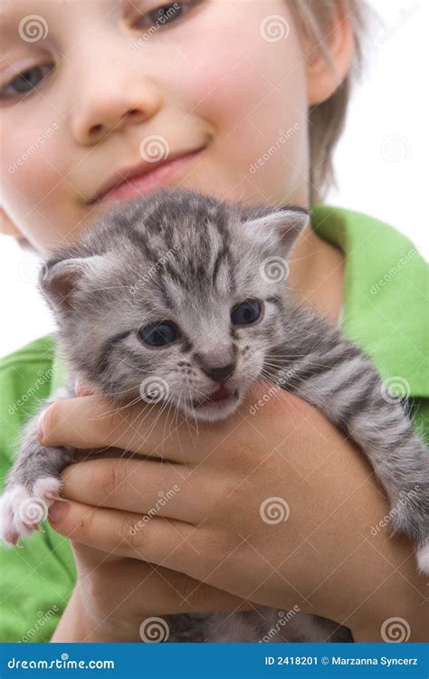 Boy with Cat stock image. Image of striped, child, baby - 2418201