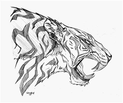 Tiger Drawing Pictures at GetDrawings | Free download