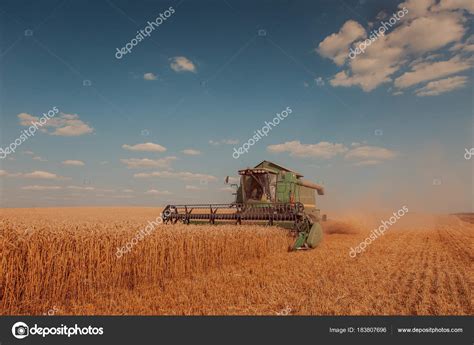 Harvesting machine, combine harvester, tractor working in a whea Stock Photo by ©kiriak09 183807696