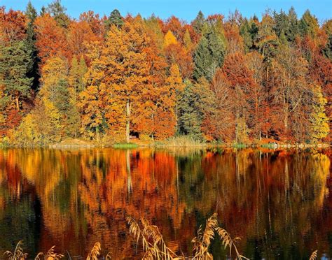 Fall Foliage in Arkansas - Ultimate Guide 2024