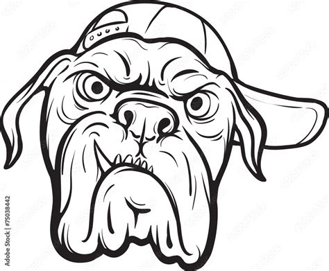 whiteboard drawing - angry dog face Stock Vector | Adobe Stock