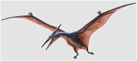 Image - Pteranodon.jpg | ARK: Survival Evolved Wiki | Fandom powered by Wikia