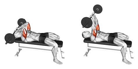 Incline vs Flat Bench Skull Crushers: Differences Explained - Inspire US