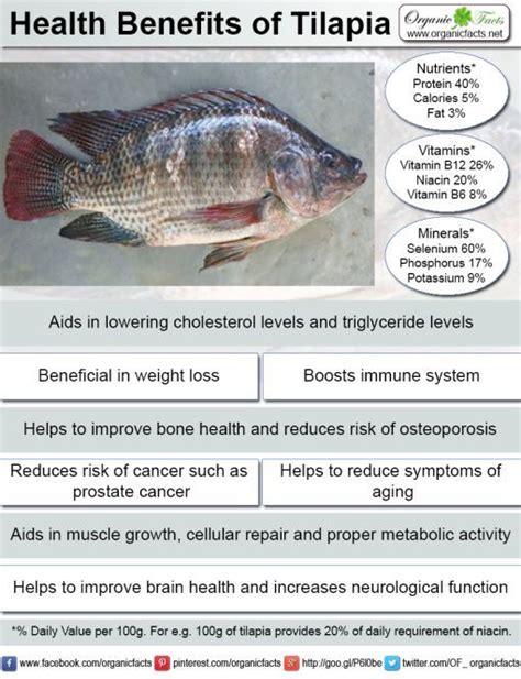 Health Benefits of Tilapia | Organic Facts | Health benefits, Tilapia ...