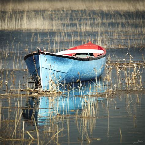 Rowing Boat by Alp Cem on 500px | Boat painting, Boat art, Row boat