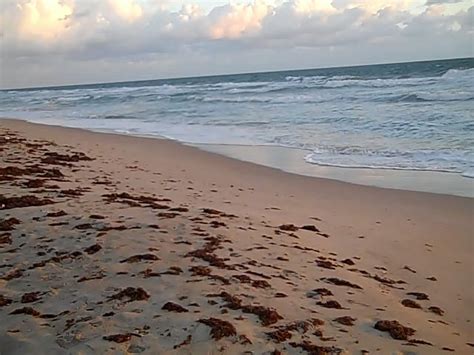 The Treasure Beaches Report Direct From Florida's Treasure Coast.: 10/6/11 Report - Treasure ...