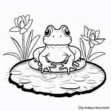 Toad Coloring Pages  Free & Printable sketch template