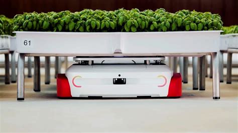 A New Kind of Robotic Farming Moves the Work Indoors and Dispenses With ...