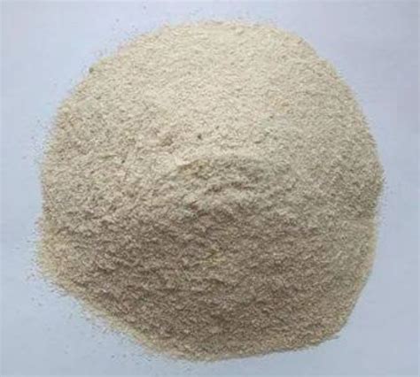 animal glue powder, for Industrial, Paper, Wood, Packaging Size : 25-50Kg at Rs 80 / Kilogram in ...