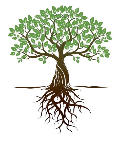 free tree with roots clipart download 10 free Cliparts | Download ...