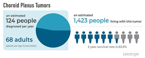 Choroid Plexus Tumors Diagnosis and Treatment - NCI