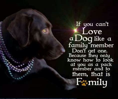 Family | I love dogs, Dogs, Animals