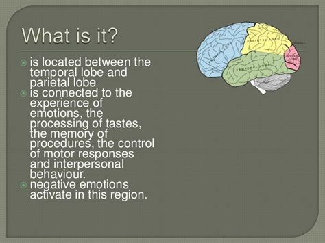 The Insular Cortex