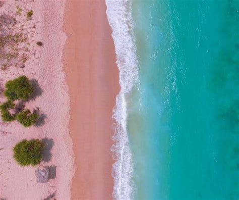 Complete Guide to the Pink Beaches of Indonesia - ETG Blog