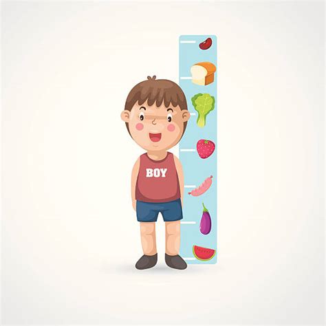 Best Child Growth Chart Illustrations, Royalty-Free Vector Graphics & Clip Art - iStock