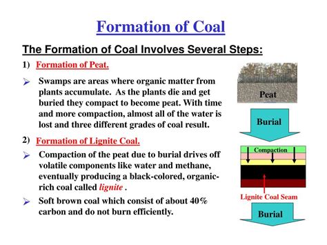 PPT - Formation of Coal PowerPoint Presentation, free download - ID:2714541