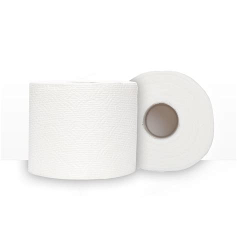 Amazon.com: Scott Extra Soft Toilet Paper, Mega Roll, 12 Count, (Pack of 4), Bath Tissue, Sewer ...