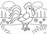Rooster coloring Page  Free Printable Coloring Pages sketch template