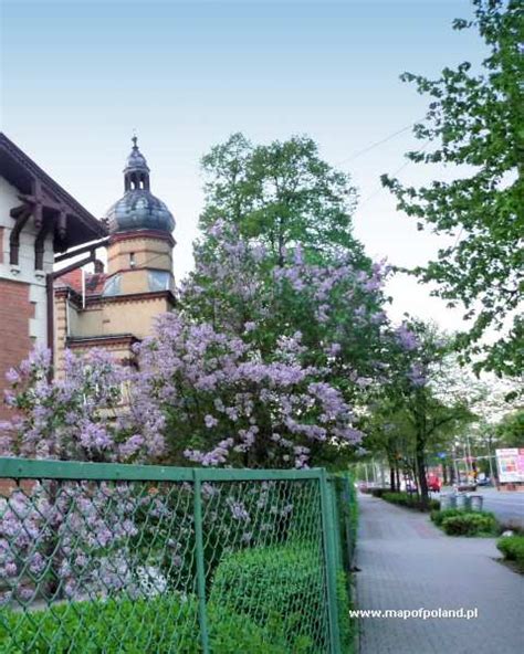 St. Casimir Church in Leszno - Photo 40/61