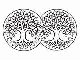 Oak Tree Coloring Adventure  Page sketch template