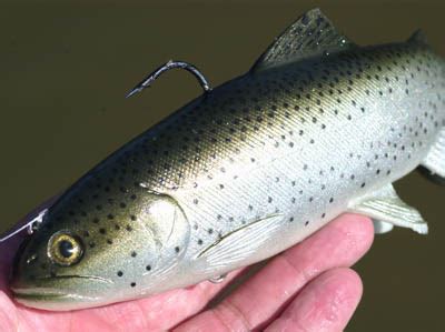 huddleston swimbait,Save up to 19%,www.ilcascinone.com